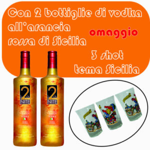Promo Vodka 2Nite